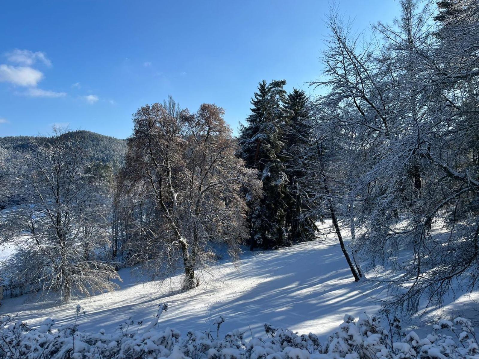 Pension U Golfu Cihelny Karlovy Vary Ngoại thất bức ảnh