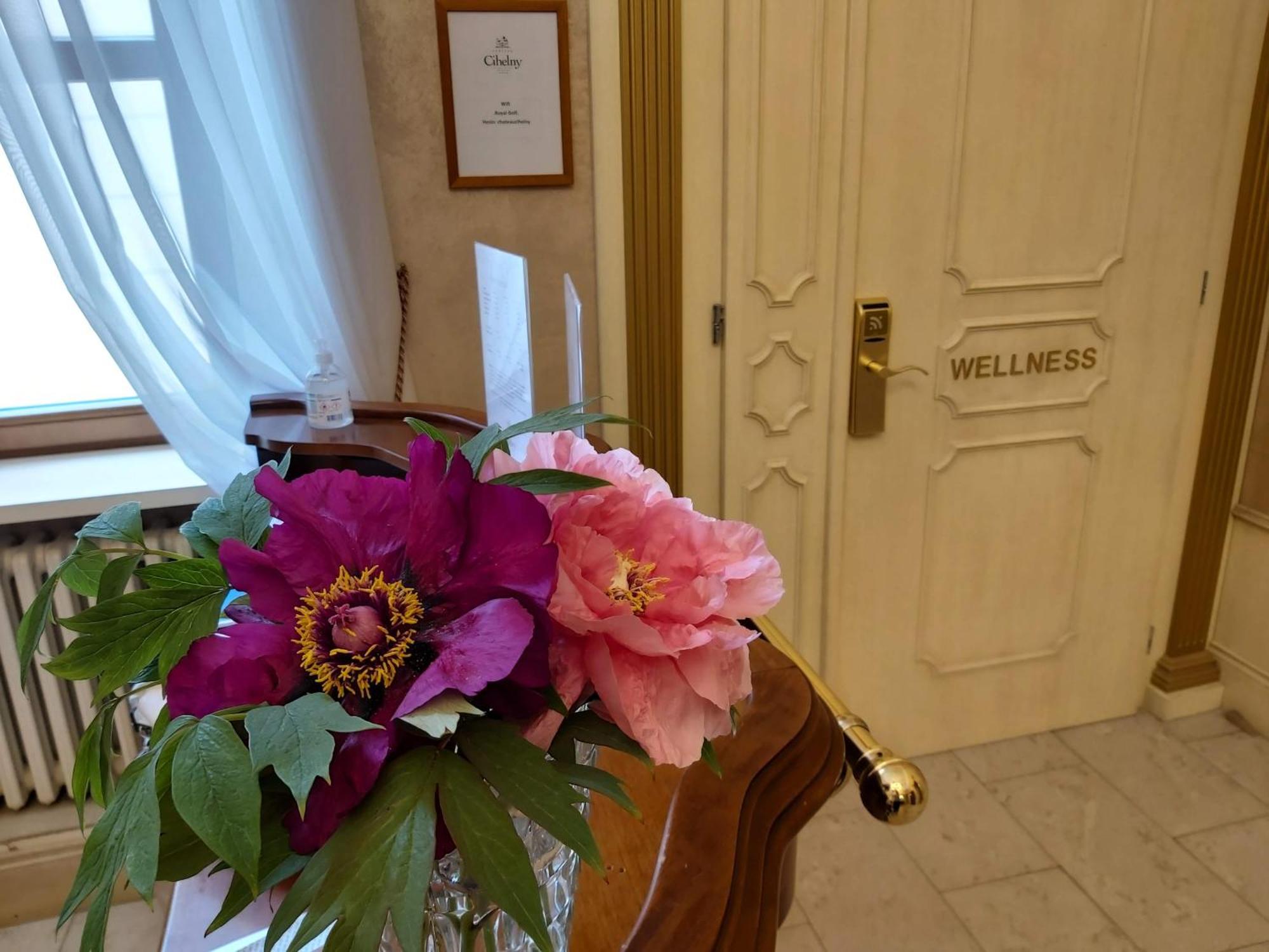 Pension U Golfu Cihelny Karlovy Vary Ngoại thất bức ảnh